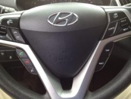 ایربگ راننده (چپ) هیوندای ولستر