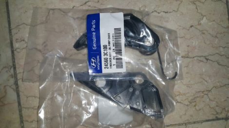 هدایت کننده زنجیر اویل پمپ اپیروس