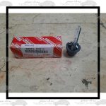Rav4-Xenon-Lamp